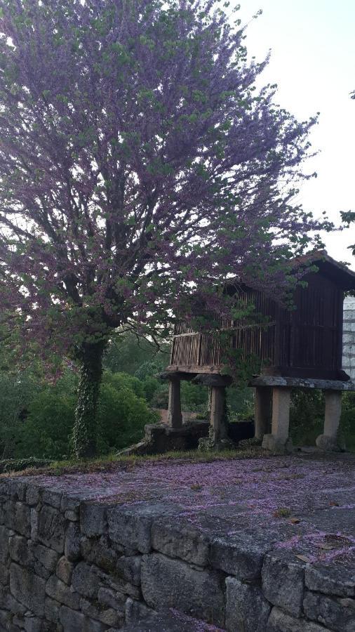 Casa Rural Torre Lombarda Hotel Allariz Kültér fotó